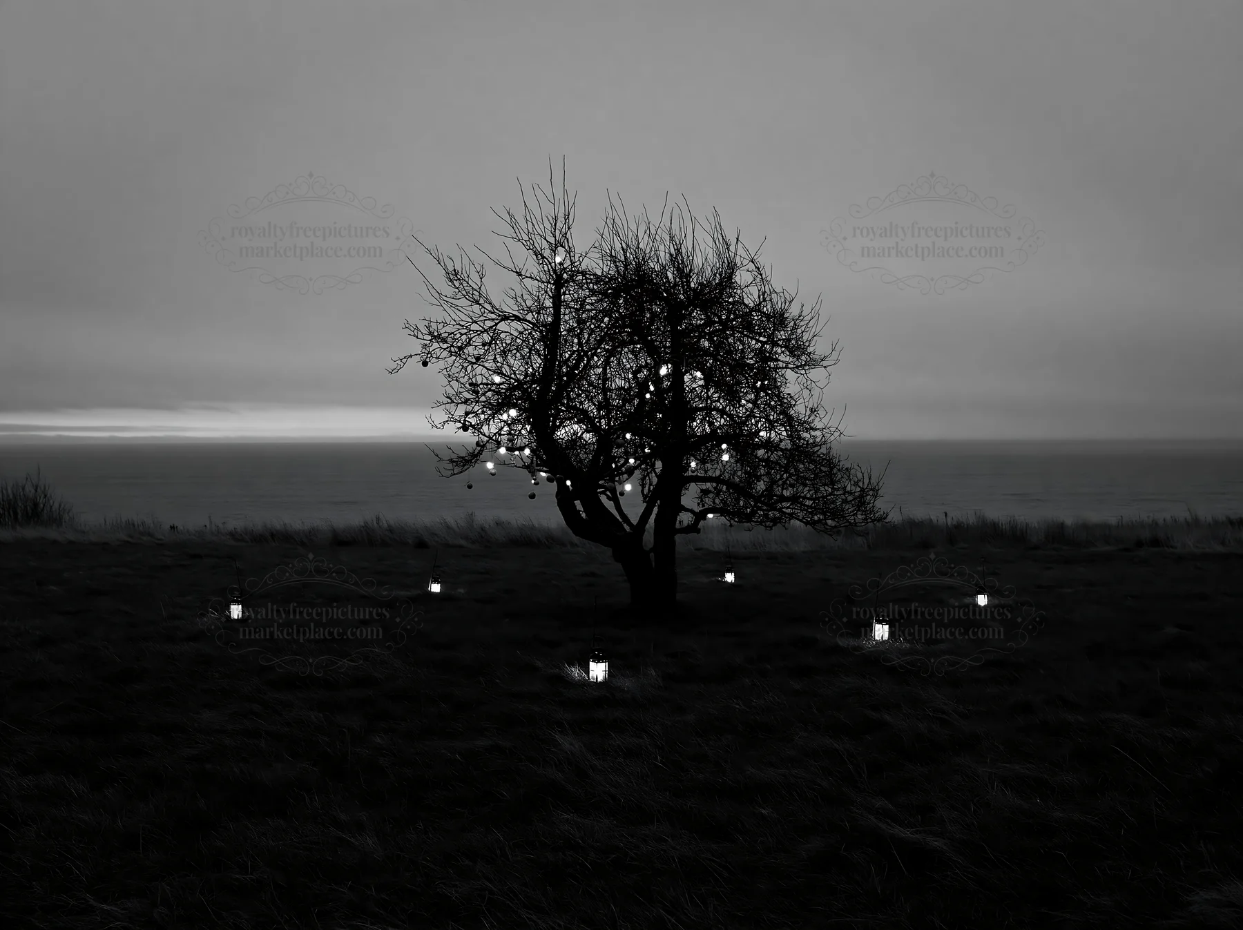 Smart apple tree meadow with lights at dusk