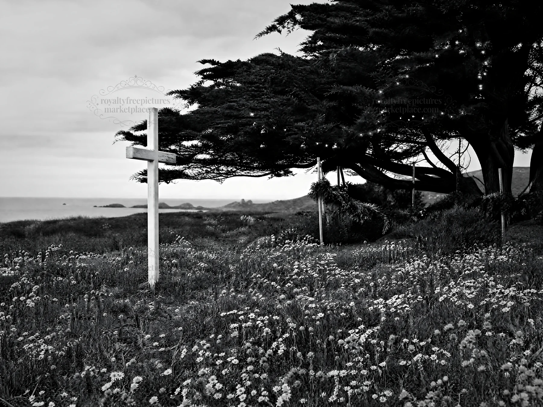 White Christian cross in wildflower meadow by coastline - AI-generated stock image