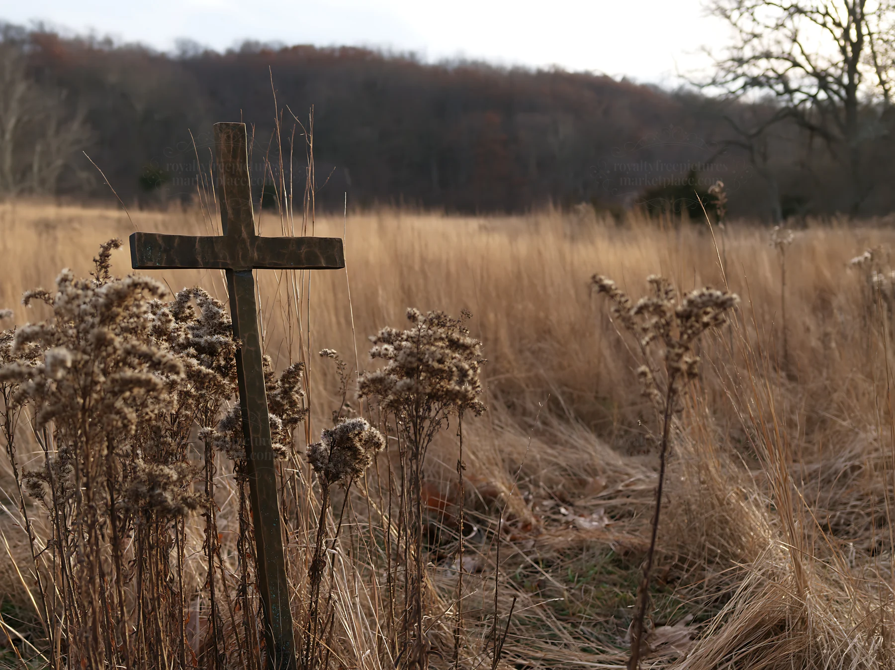 Bronze cross in a meadow during the Christmas season
