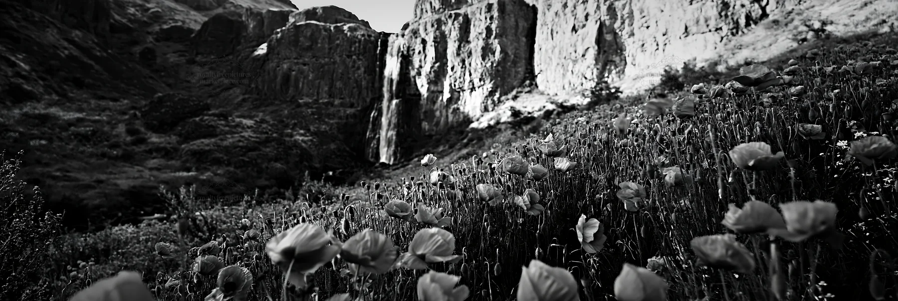 Wildflower meadow near a waterfall in summer - AI-generated stock image