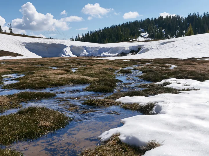 Snowmelt stream flows through meadow in mountain landscape - AI-generated stock image