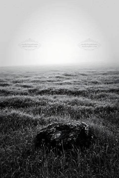Mossy stone in recovery meadow of Miyagi in spring - AI-generated stock image