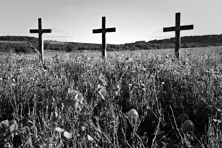Christian crosses in conservation meadow during daytime - AI-generated stock image
