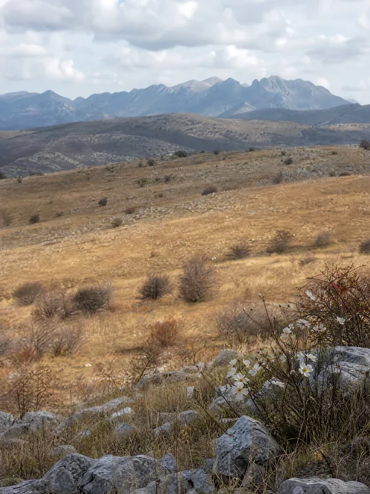 Sunny limestone meadow with distant mountains in the background - AI-generated stock image