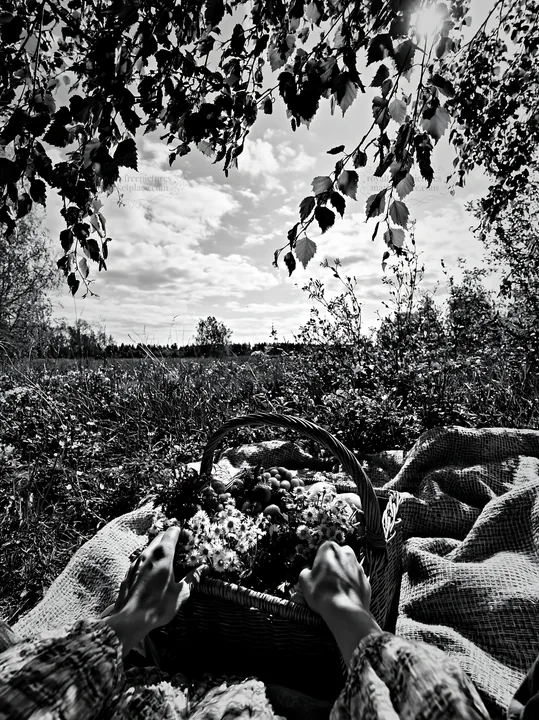 Easter basket in a meadow during springtime - AI-generated stock image