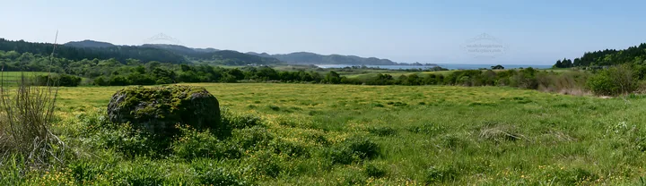 Mossy stone in Miyagi spring recovery meadow under clear sky - AI-generated stock image