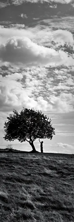 Easter apple tree silhouette with person standing under - AI-generated stock image