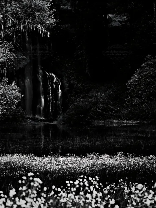 Flower meadow with waterfall reflection in black and white - AI-generated stock image