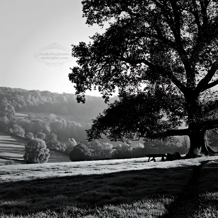 Elegant meadow with large tree and hills in black and white - AI-generated stock image
