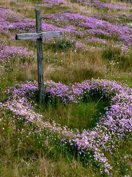 Wooden Christian cross surrounded by flowers in meadow - AI-generated stock image