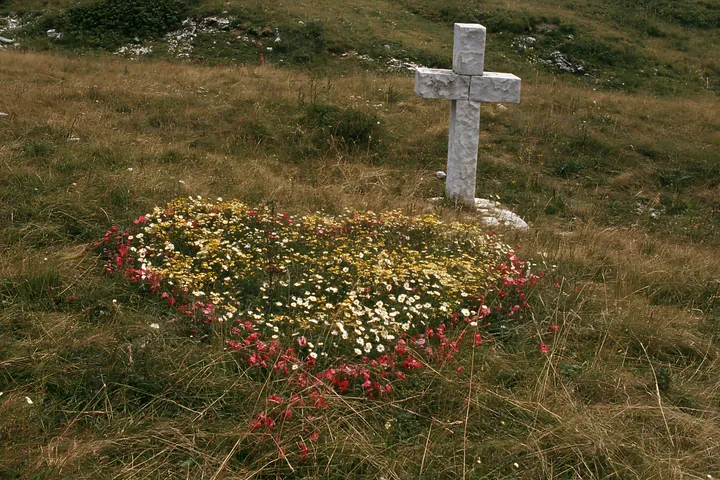 Christian cross surrounded by flowers in a meadow - AI-generated stock image