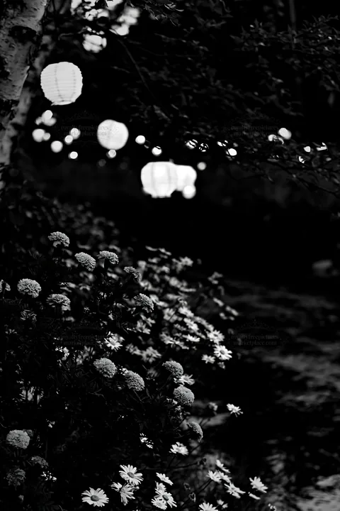 Christmas lights beside stream in meadow at dusk - AI-generated stock image