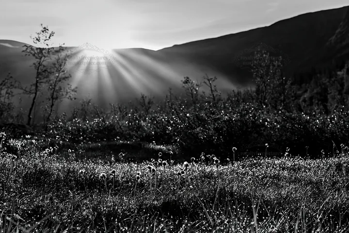 Sunbeams shine over meadow in Jotunheimen valley - AI-generated stock image