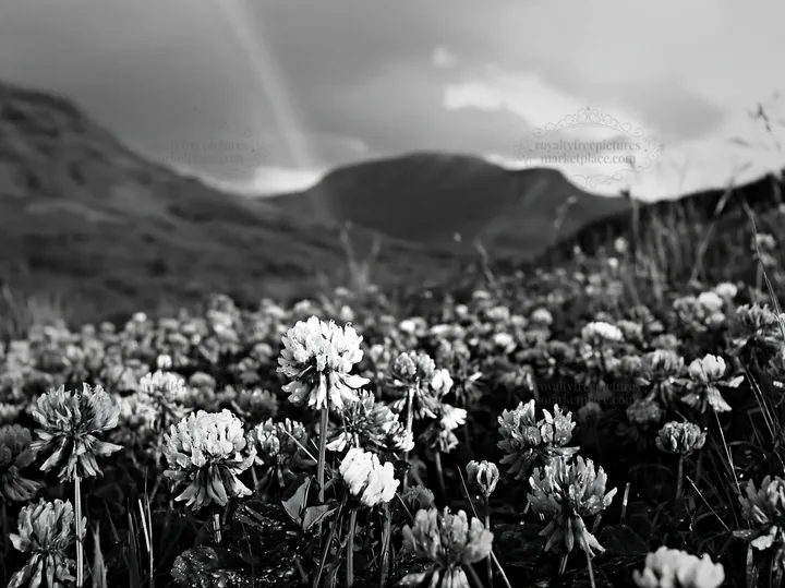 Clover meadow under cloudy sky with mountains in the background - AI-generated stock image