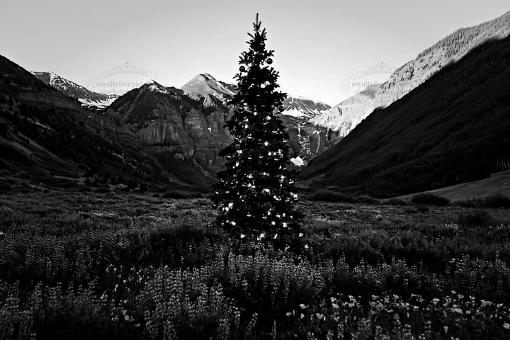 Christmas tree in mountain valley meadow with snow-capped peaks - AI-generated stock image
