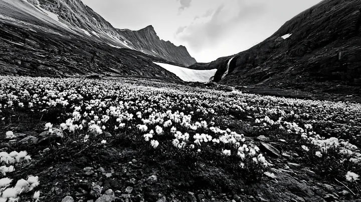 Mountain flower meadow with waterfall and rocky landscape - AI-generated stock image