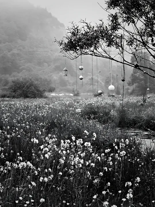 Christmas ornaments hanging above stream in foggy meadow - AI-generated stock image