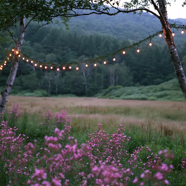 Wide Christmas meadow with native flowers and fairy lights - AI-generated stock image