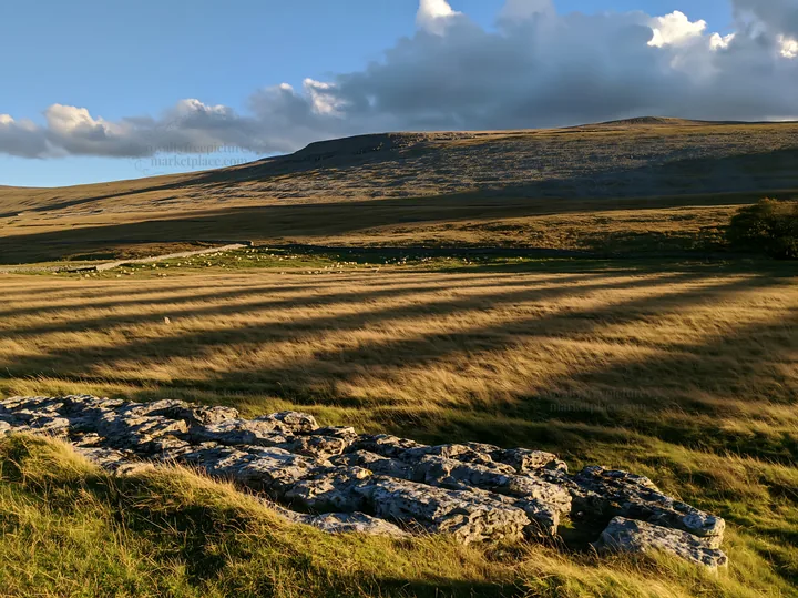 Autumn meadow with rocky landscape under blue sky - AI-generated stock image