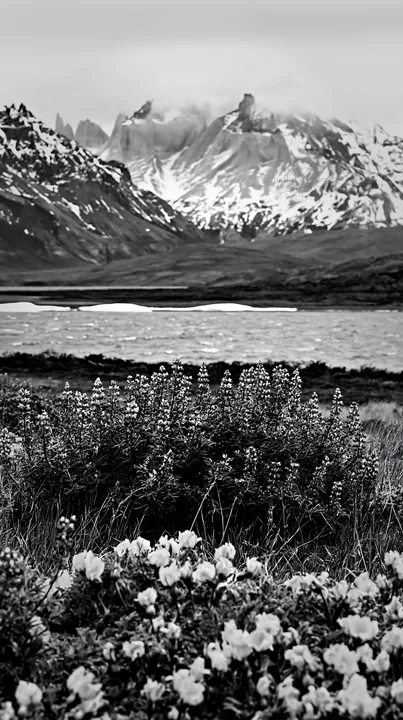 Snowy mountains and flowers in Torres del Paine meadow landscape - AI-generated stock image