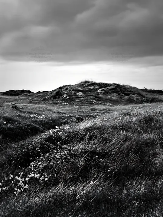 Cloudy wild thyme meadow with rocky hill under grey sky - AI-generated stock image