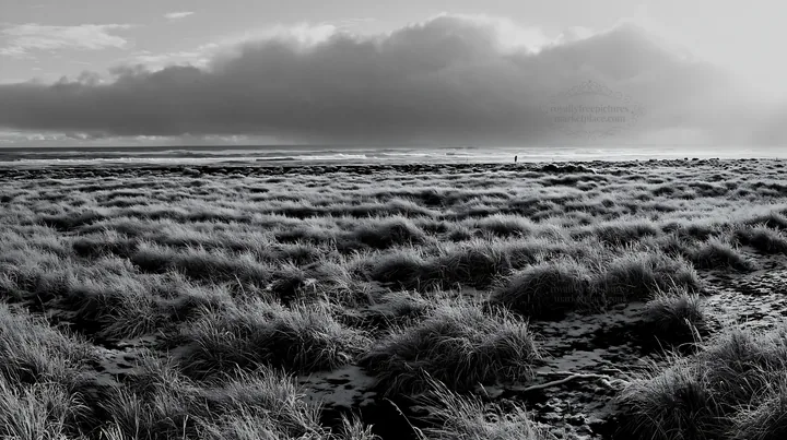 Snowy beach meadow with grass and ocean waves in winter - AI-generated stock image